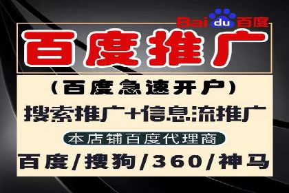 短视频平台的SEM推广实践与效果